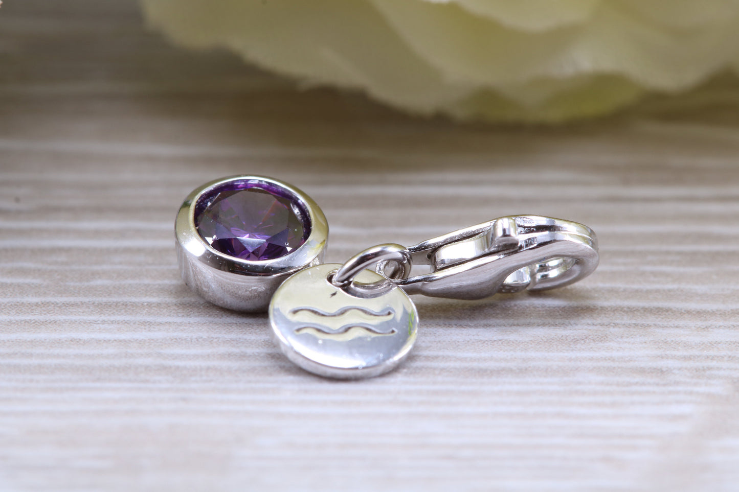 Sterling Silver February Amethyst Birthstone Charm