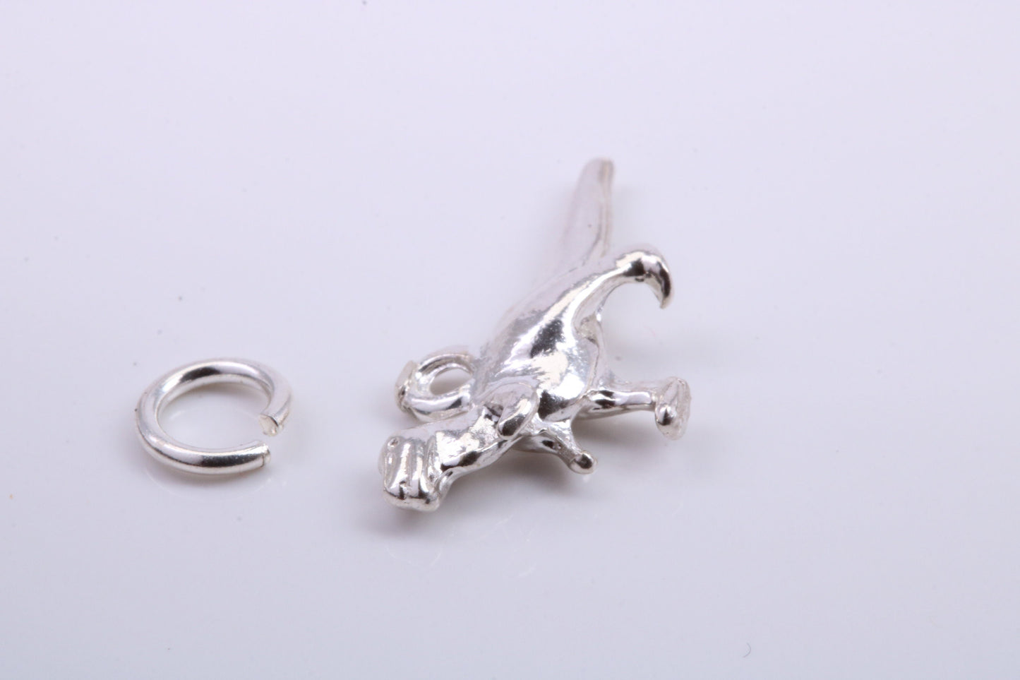 Dinosaur Charm, Traditional Charm, Made from Solid 925 Grade Sterling Silver, Complete with Attachment Link