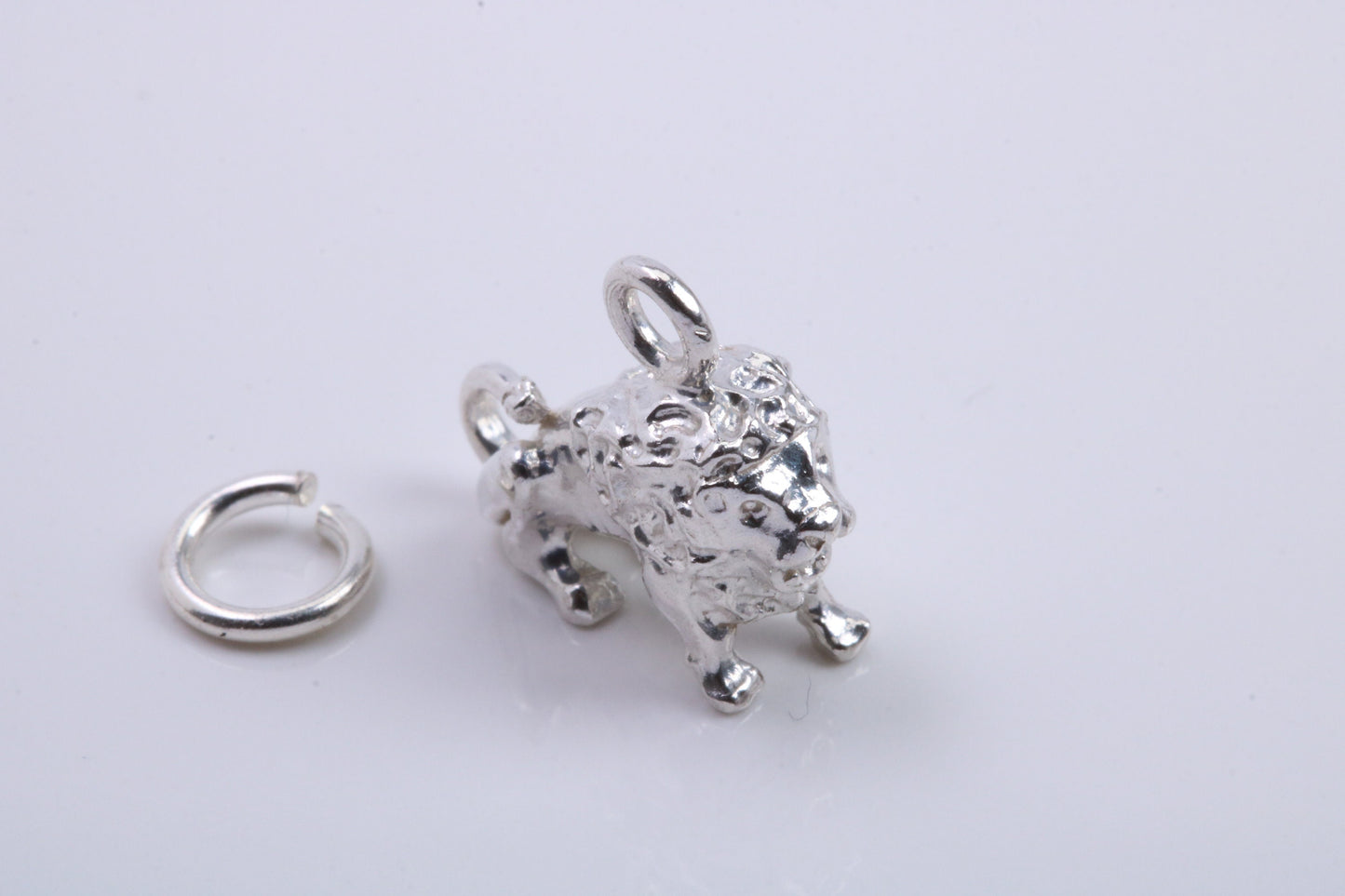 Leo Zodiac Sign Charm, Traditional Charm, Made from Solid 925 Grade Sterling Silver, Complete with Attachment Link