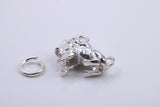 Leo Zodiac Sign Charm, Traditional Charm, Made from Solid 925 Grade Sterling Silver, Complete with Attachment Link
