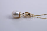 Real Pearl Necklace and Matching Earrings set in Solid Yellow Gold Together with 18 Inch Yellow Gold Chain