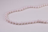 Beautiful South Sea Akoya Pearl Necklace, set with Silver Yellow Gold Plated Clasp, 6-6.50 mm Akoya Pearl, 16 inch Long Strands