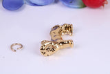 Lion Charm, Traditional Charm, Made from Solid Cast Yellow Gold, British Hallmarked