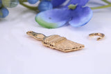 Paint Brush Charm, Traditional Charm, Made from Solid Yellow Gold, British Hallmarked, Complete with Attachment Link