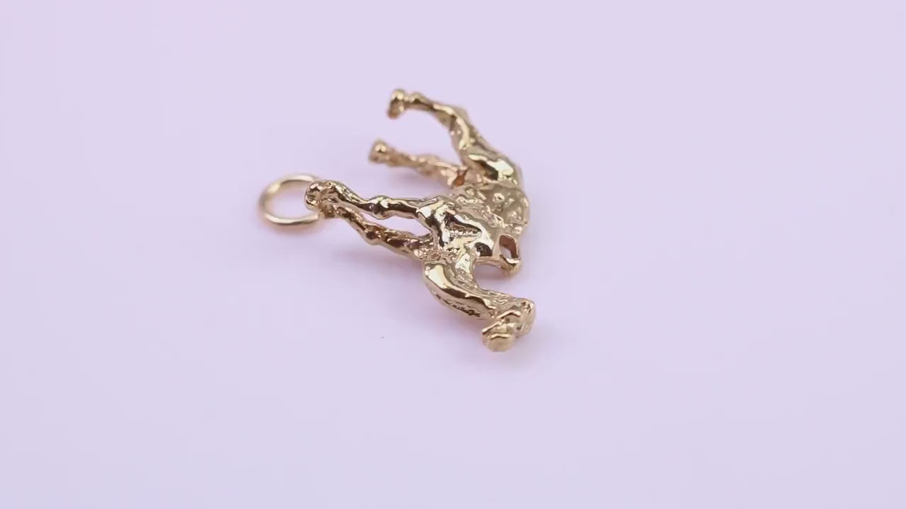 Arabian Camel Charm, Traditional Charm, Made from Solid 9ct Yellow Gold, British Hallmarked, Complete with Attachment Link